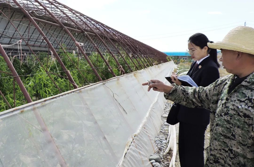 巾帼“检花” 雄关绽芳华--记嘉峪关市城区人民检察院检察官杨淑梅